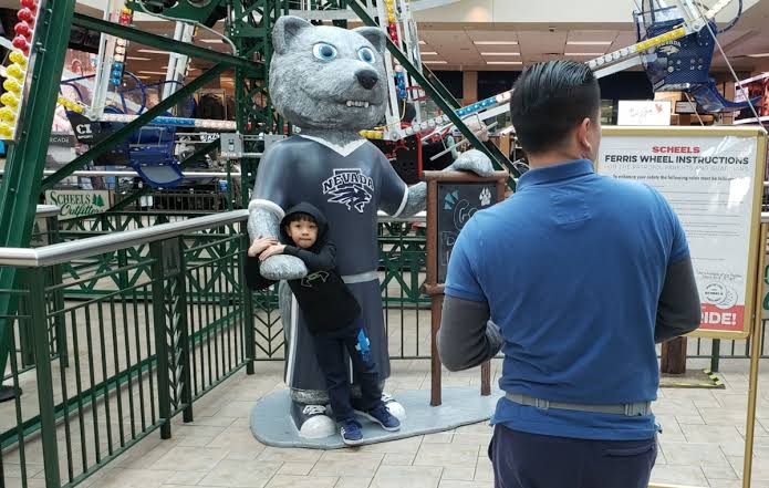 Scheels